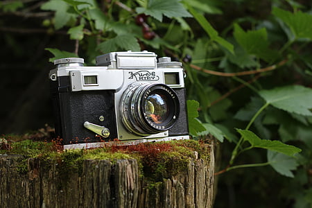 black and gray camera on gray tree trunk thumbnail