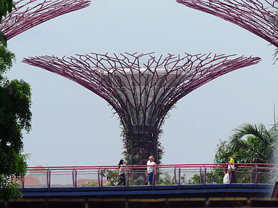 Bird's Nest during daytime thumbnail