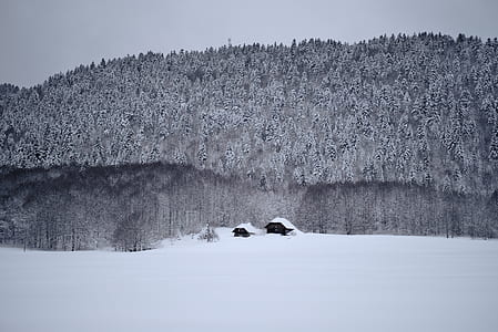 view of snow covered mountain thumbnail