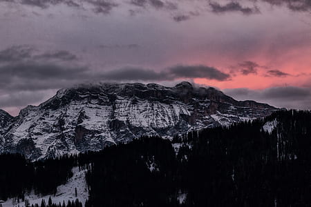 snowy mountain and tall trees thumbnail