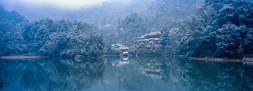 body of water surrounded by trees thumbnail