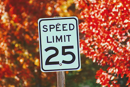 white and black speed limit 25 signage thumbnail
