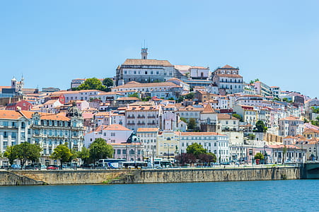landscape photography of village near body of water thumbnail