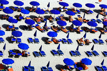 people sunbathing on open field thumbnail