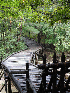 Nature, Mungyeong Saejae thumbnail