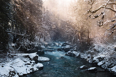 flowing stream in the middle of snow covered forest during sunny day thumbnail