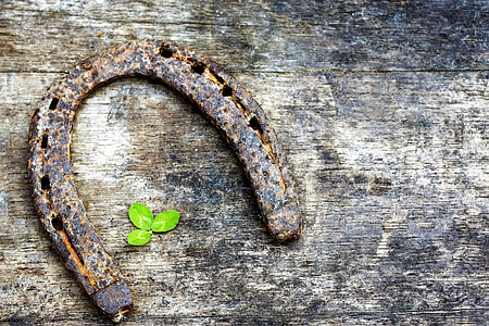 brown horse shoe on brown wooden board thumbnail