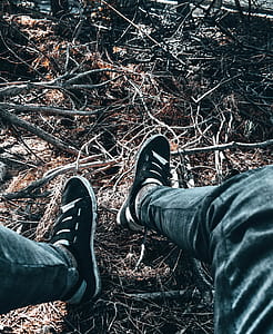 Person Feet on Twigs thumbnail