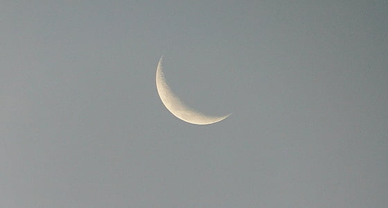 crescent moon thumbnail