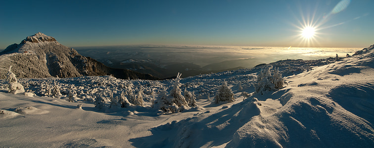 aerial photography of snow-covered trees at daytime thumbnail
