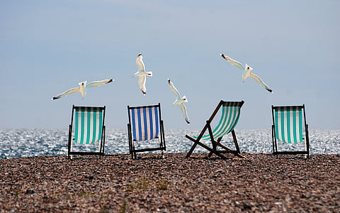 four green and blue folding chairs on seashore thumbnail