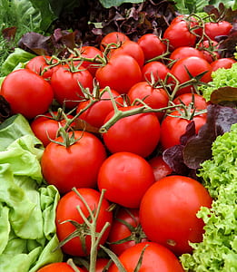 bundle of red tomatoes thumbnail