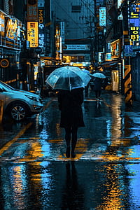 person standing in the middle of the road holding clear umbrella thumbnail