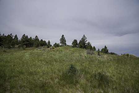 Grass and landscape on Mount Ascension in Helena thumbnail