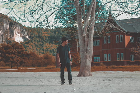 Man in Blue Crew Neck Shirt Standing Behind Brown Tree thumbnail