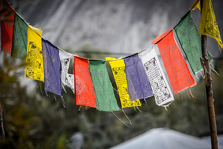 selective focus photography of banners thumbnail