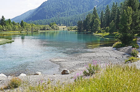 body of water near forest during daytime thumbnail