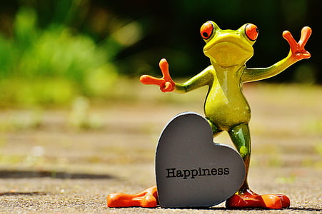 green frog standing near heart Happiness stone wallpaper thumbnail