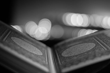 Close-up of Open Book thumbnail