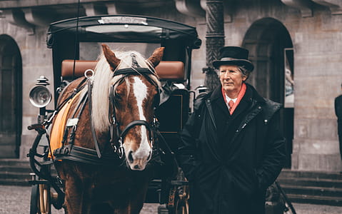 person wearing black fedora hat beside carriage thumbnail