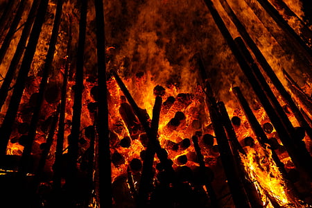 burning trees illustration thumbnail