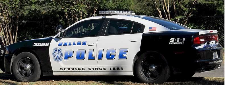 white and black Dodge Charger police ca near tree thumbnail