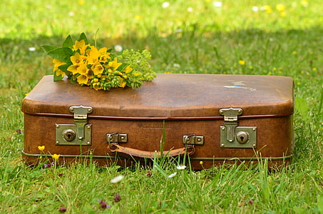 brown hardside luggage on green graass thumbnail