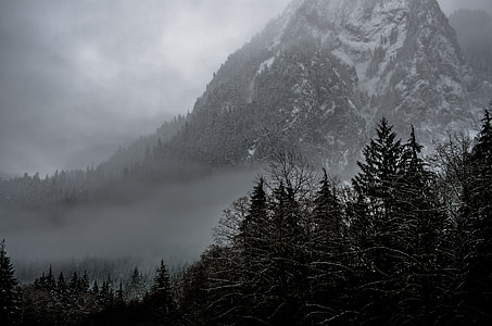 grayscale photography of mountain near trees thumbnail
