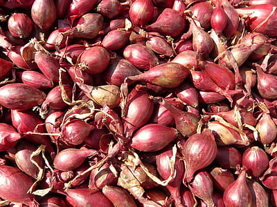 red onions thumbnail