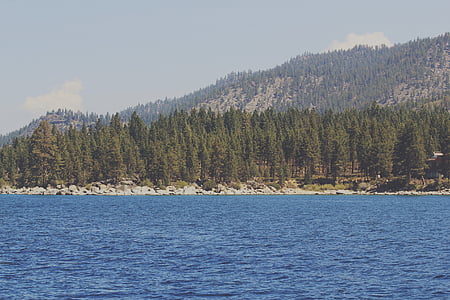 trees beside body of water during day time thumbnail