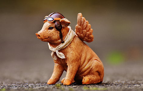 tilt-shift lens photo of winged pig figurine thumbnail