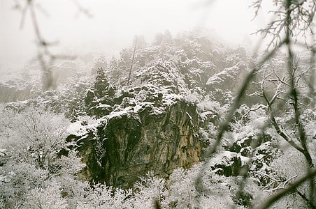 Snow-covered rock thumbnail