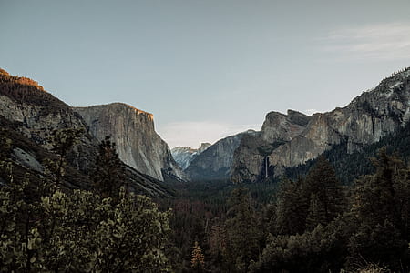 field of trees under rock formation thumbnail