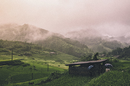 brown wooden house in green field during daytime thumbnail