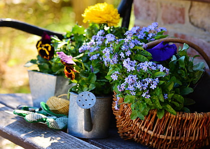 purple petaled flowers on basket thumbnail