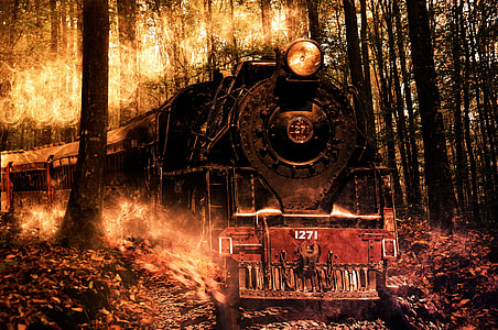 black and red train beside green leafed trees thumbnail