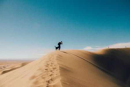 person and dog walking on sand under blue sky thumbnail