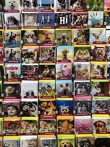 photo of assorted-title animal book lot thumbnail