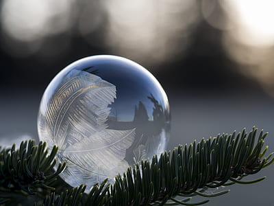 white leaf-themed bauble on Christmas tree thumbnail