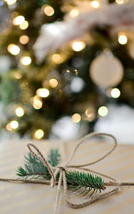 Green Pine Leaves With Brown Rope thumbnail