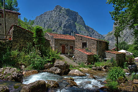 nature photography of brick houses near river thumbnail