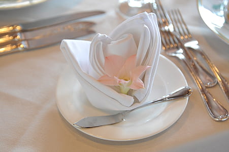 photo of table and napkin arrangement thumbnail
