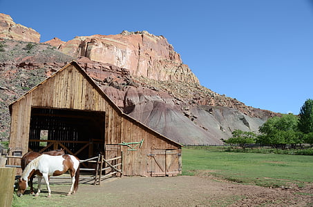 horse near barn and mountain during daytime thumbnail