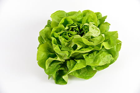 green lettuce thumbnail