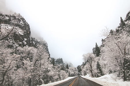 snow covered side of road thumbnail