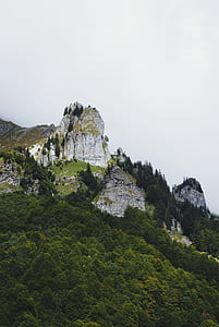 aerial photography of trees and mountain during daytime thumbnail