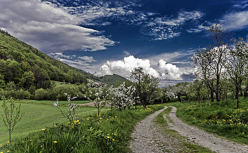 road in middle of grass field thumbnail