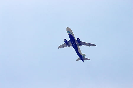 White And Blue Aircraft thumbnail