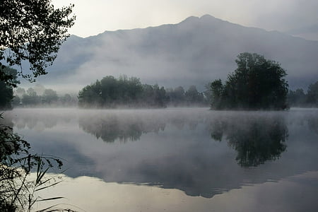 river surrounded with fogs thumbnail