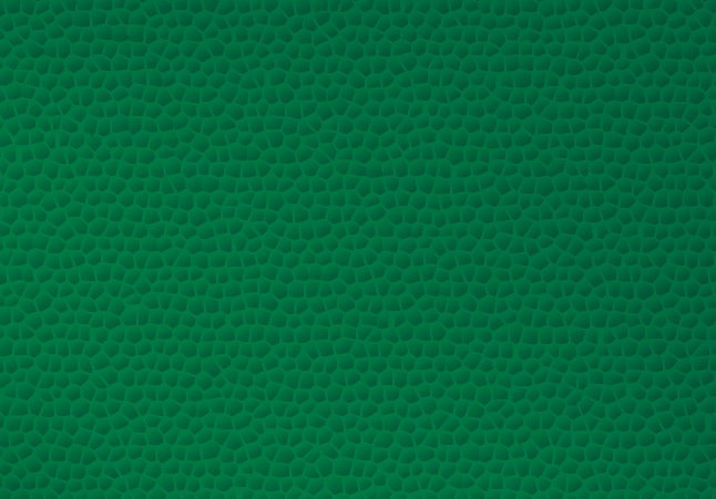 Reptile Skin Vector eps file